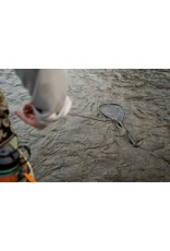 Fishpond Fishpond Confluence Net Release - Lichen