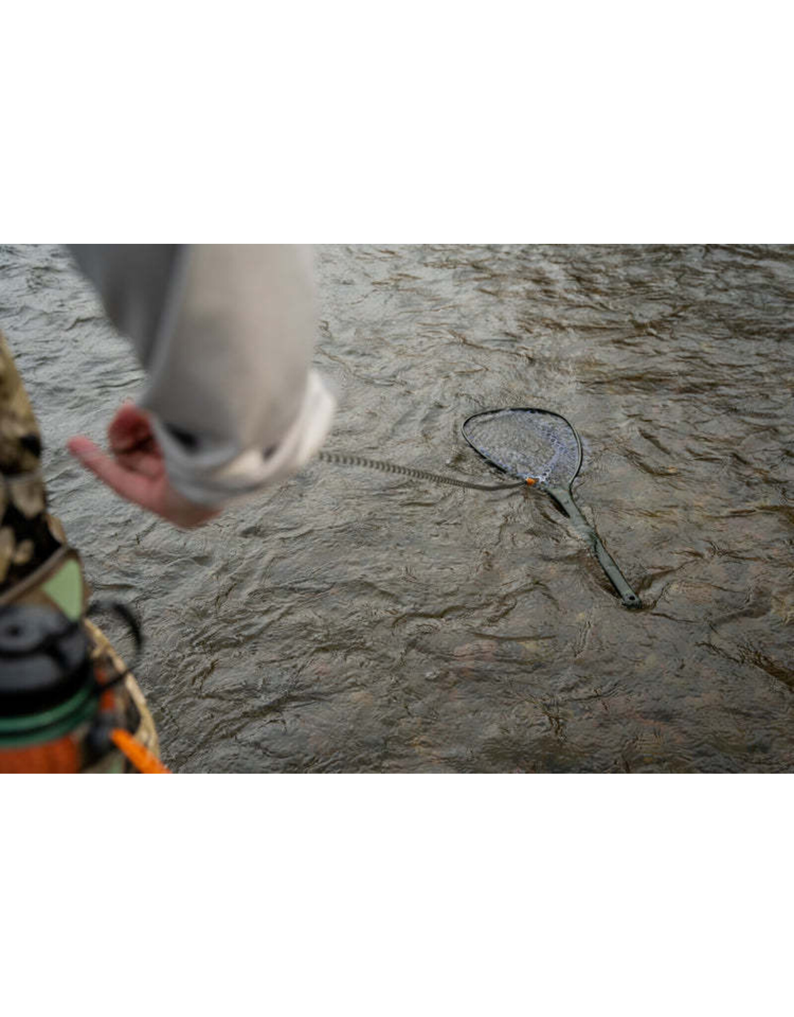 Fishpond Fishpond Confluence Net Release - Lichen