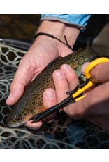 Loon Hatch Pin Scissor Forceps W/ Comfy Grip