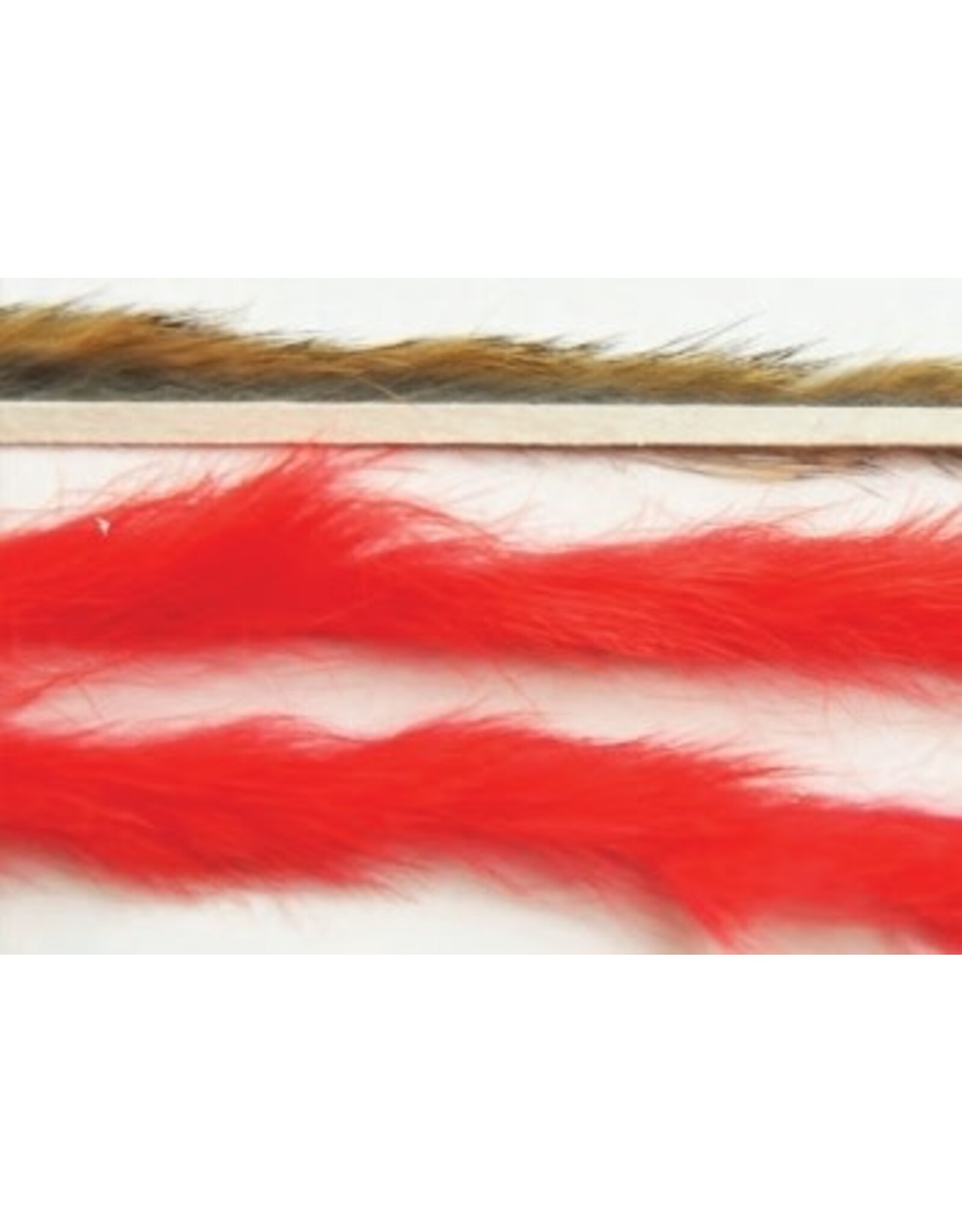 Rabbit Zonkers Standard