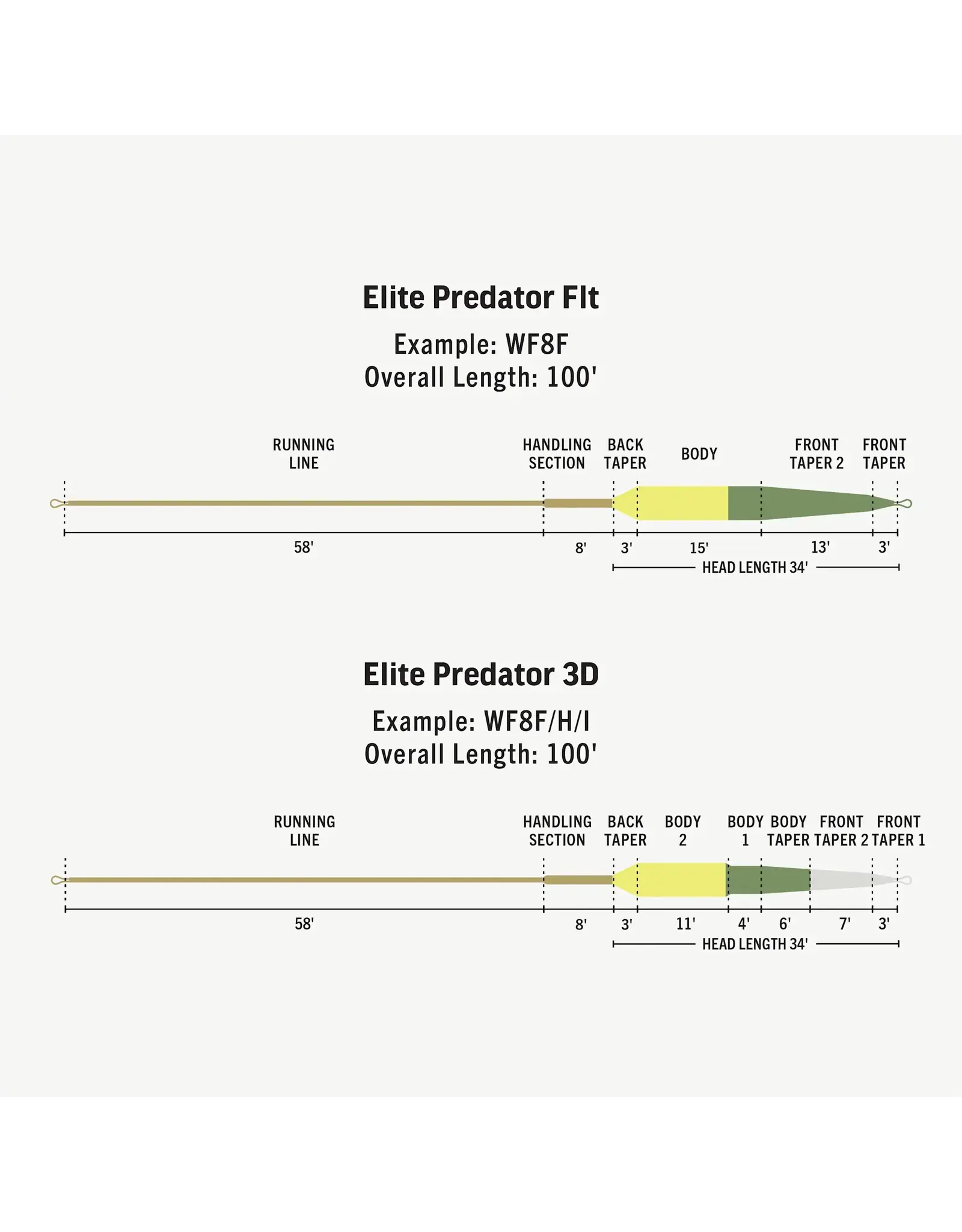 Rio Rio Elite Predator