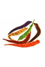 Dragon Tails