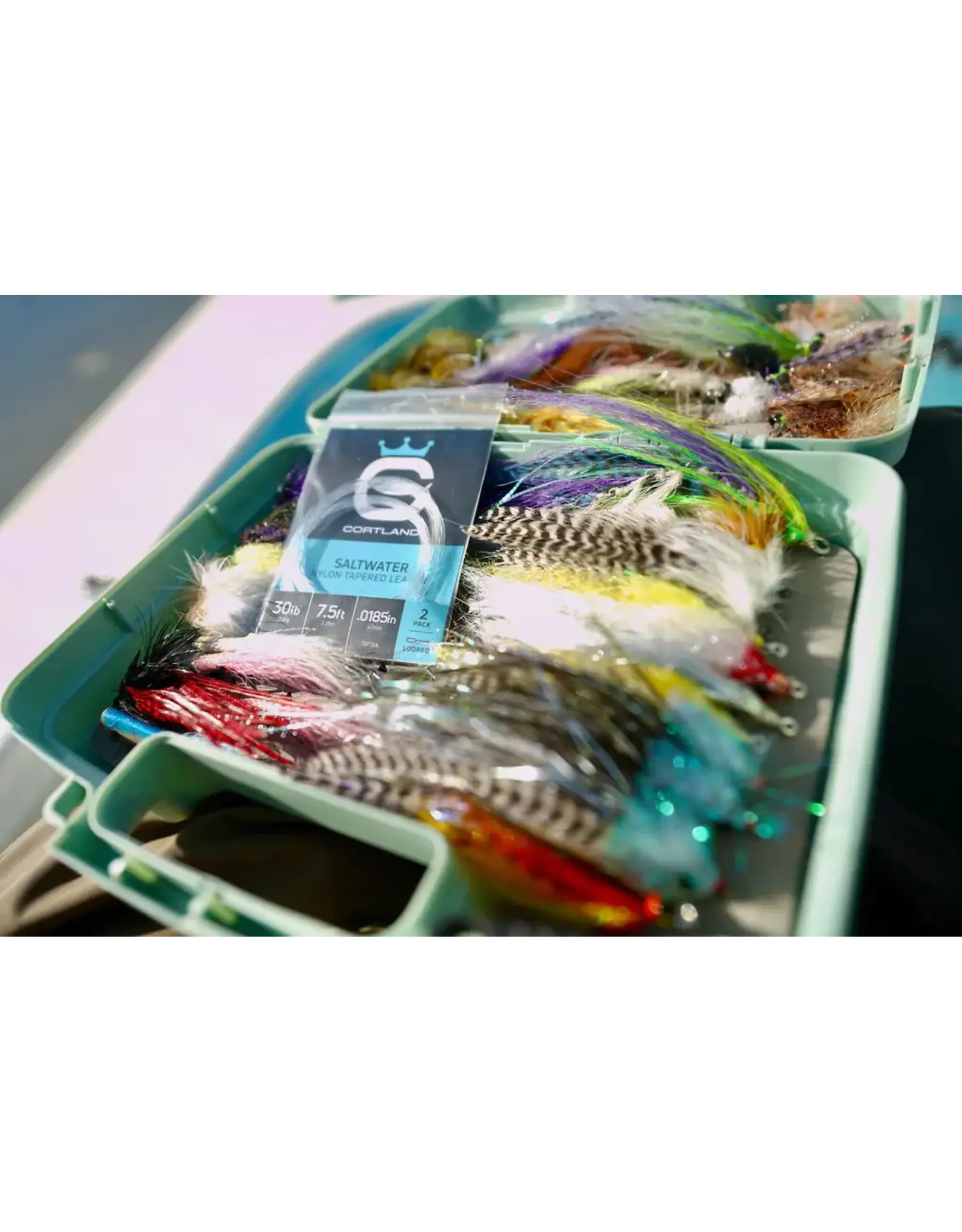 Cortland Cortland Saltwater 2 pack Leaders