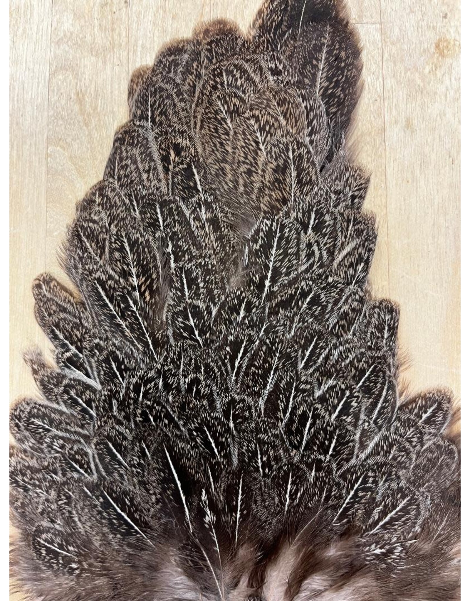 Soft Hackle Hen