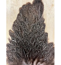 Soft Hackle Hen