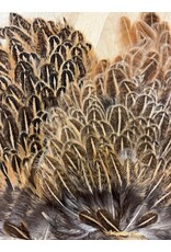 Soft Hackle Hen