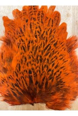 Soft Hackle Hen