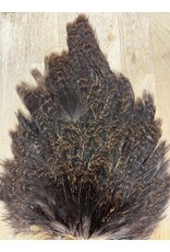 Soft Hackle Hen