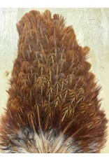 Soft Hackle Hen