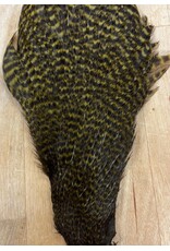 Grizzly Hen Neck
