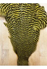 Grizzly Hen Neck