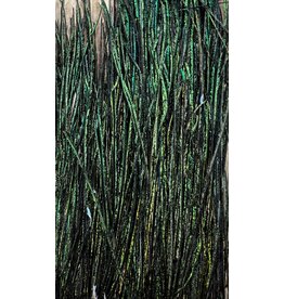 Wapsi Strung Peacock Herl