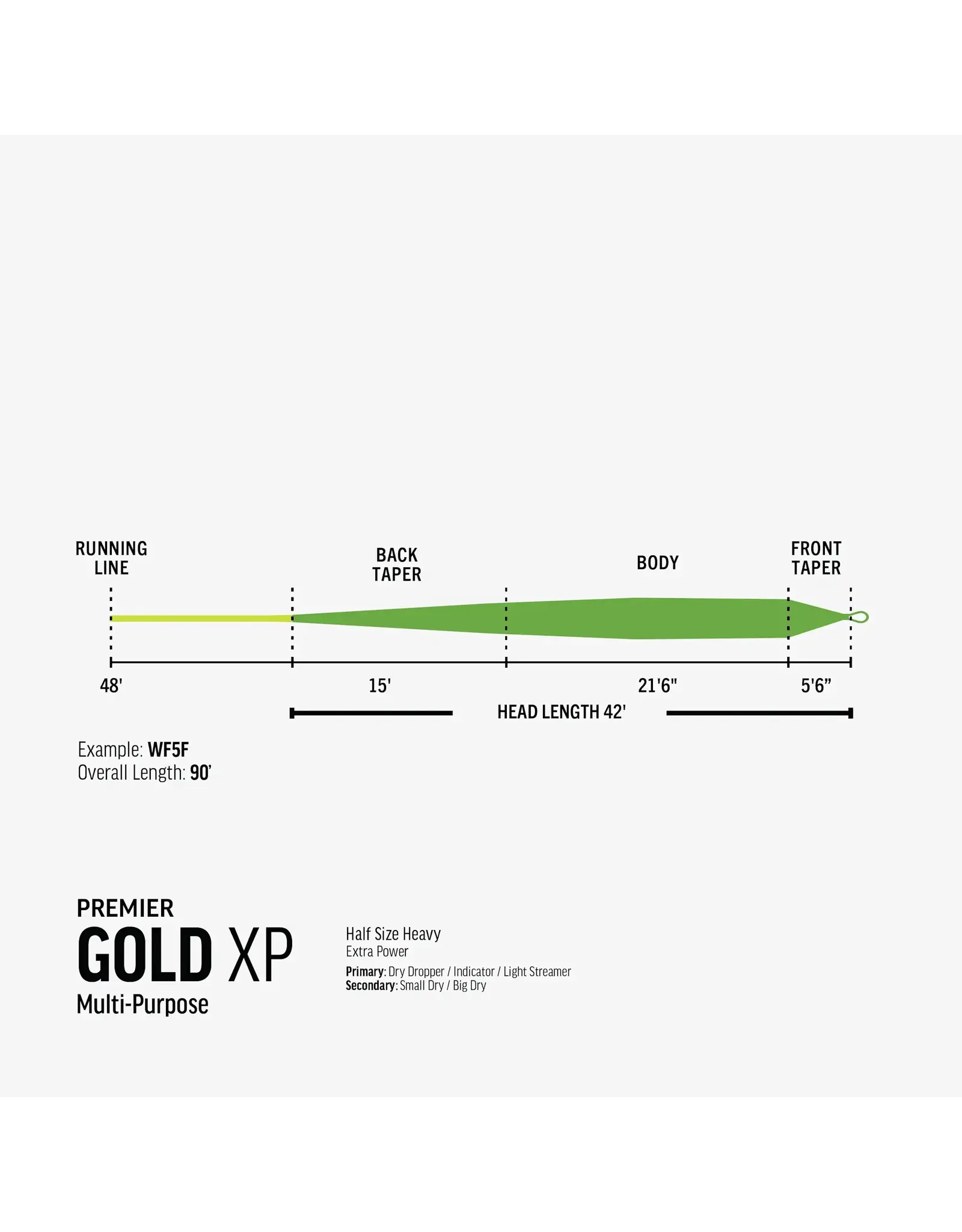 Rio Rio Gold XP