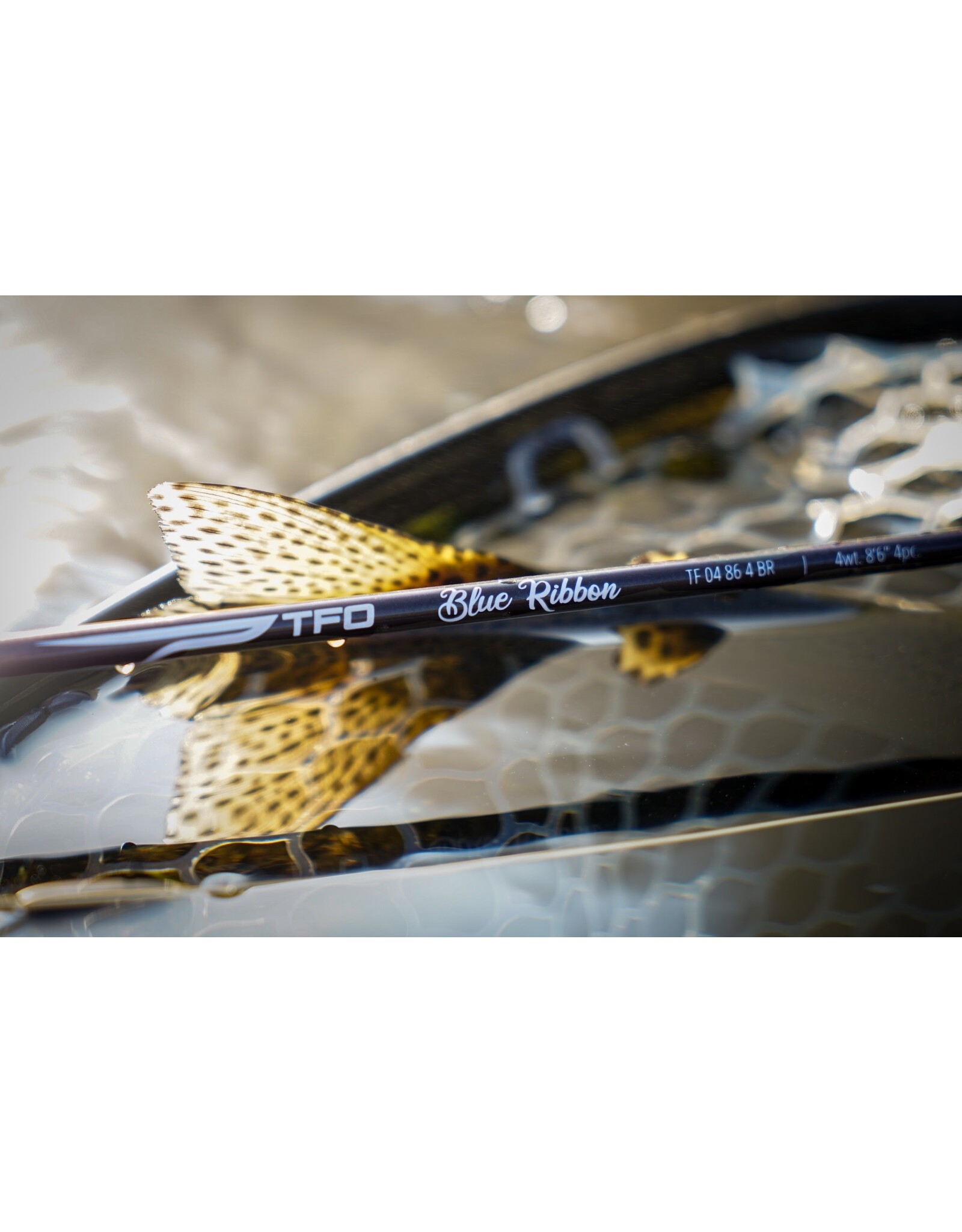 Temple Fork Outfitters Blue Ribbon 5wt 9ft