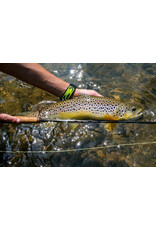 Temple Fork Outfitters Blue Ribbon 5wt 9ft