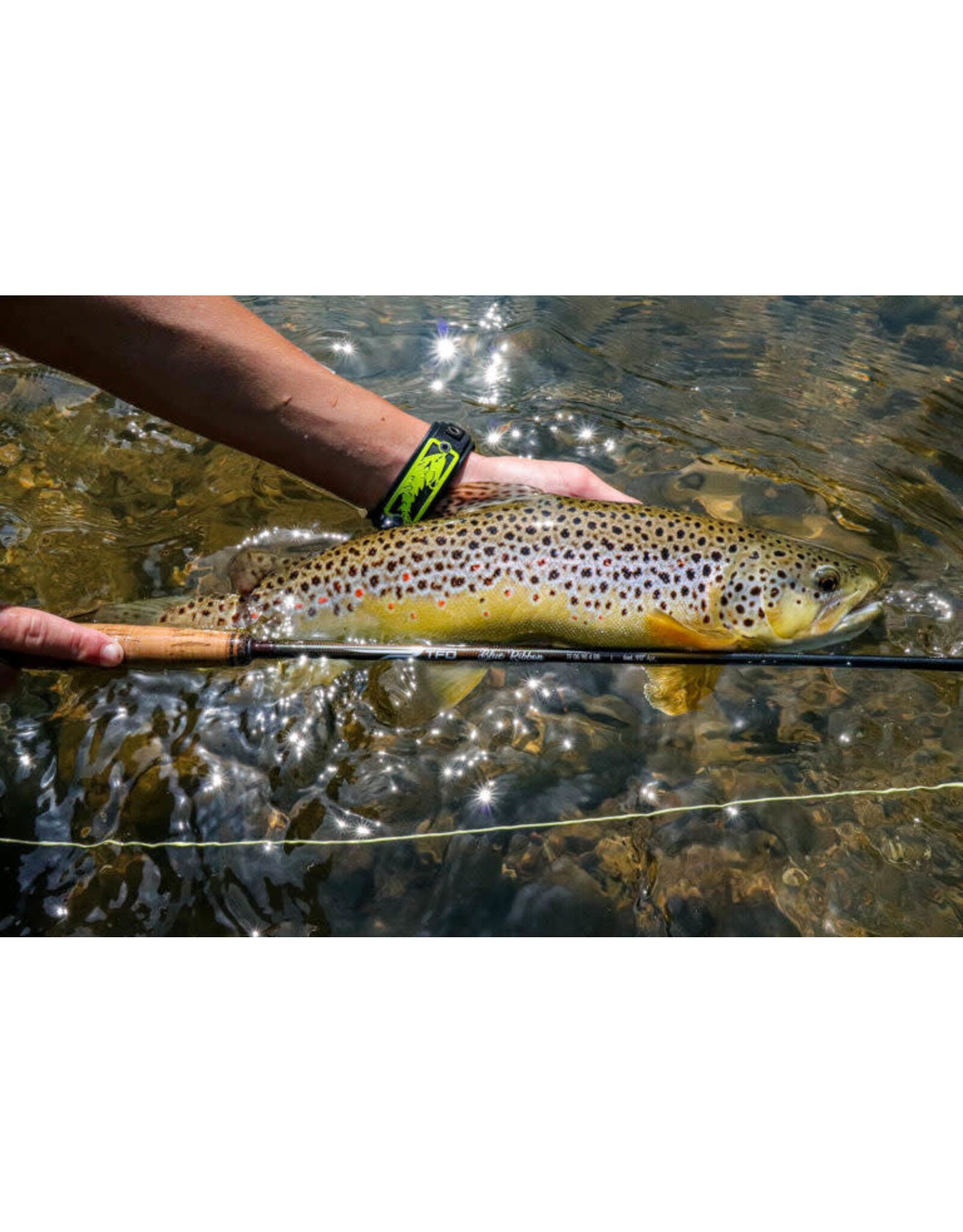 Temple Fork Outfitters Blue Ribbon 5wt 9ft
