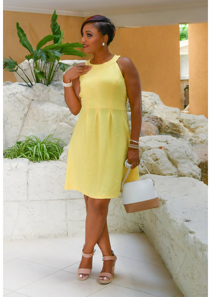 Pappagallo EARTHA- Hi-Neck Box Pleat Fit & Flare Dress