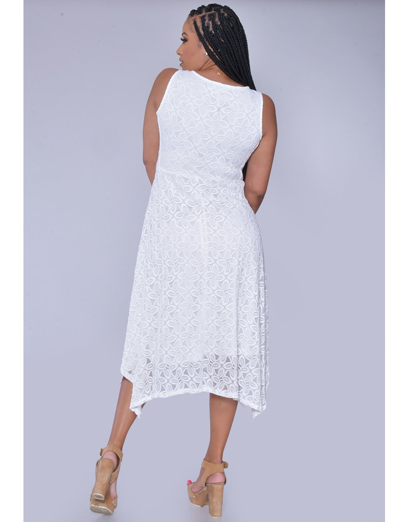 LAFAYNE- Lace Fit and Flare Dress