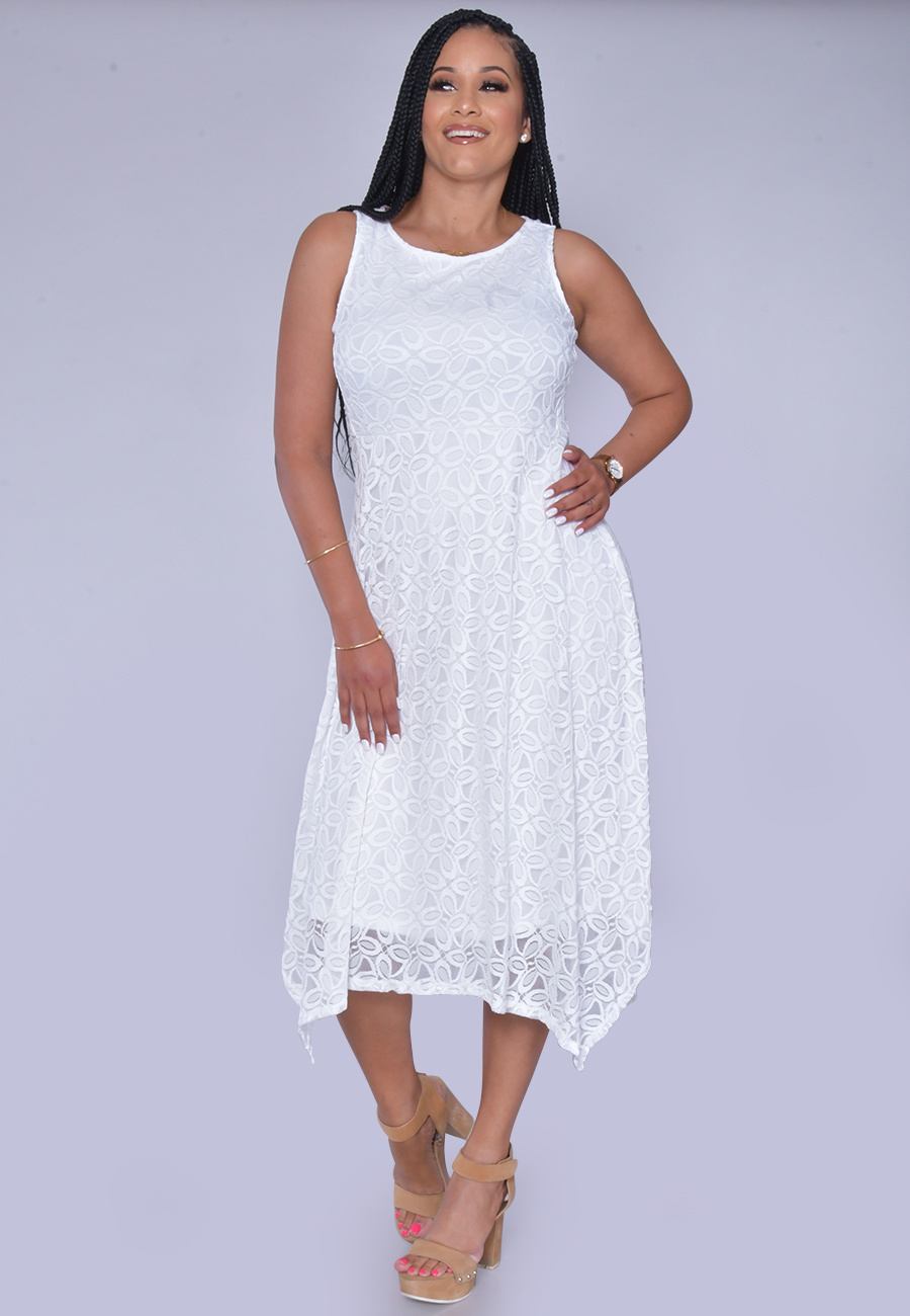 lace fit and flare dress