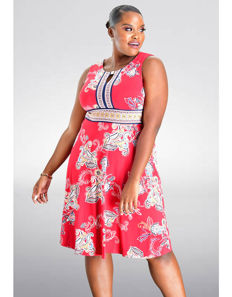 sandra darren plus size dresses