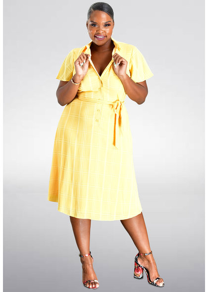 RESANI- Frill Sleeves Shirt Dress
