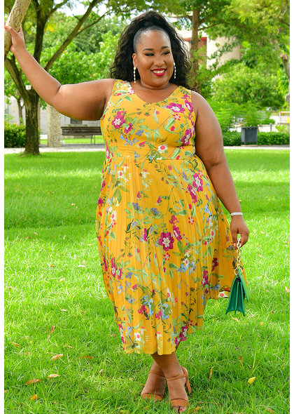 SANDRA- Plus Size Printed Fit and Flare Pleated Dress