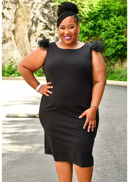 GLAMOUR ROSER- Plus Size Organza Ruffle Sleeve Dress