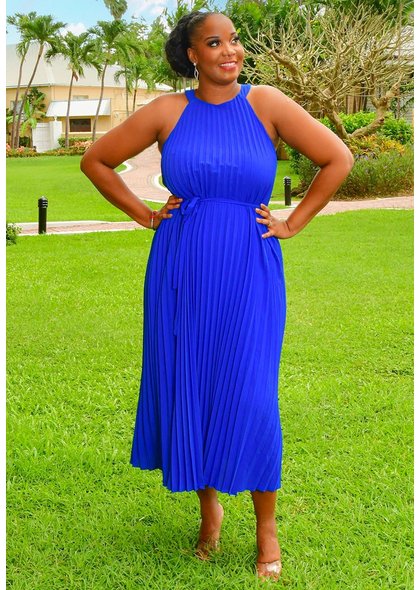 ROTOI- Solid Maxi Steam Pleat Dress