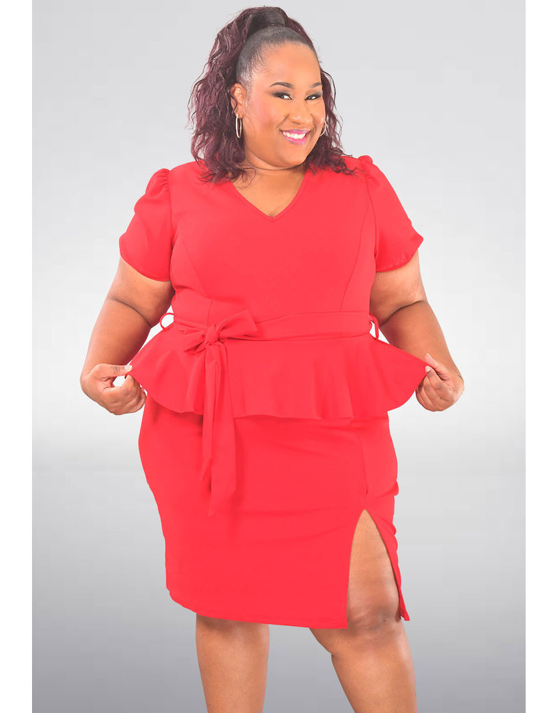 ARIA REANO- Plus Size Puff Sleeve V Neck Dress