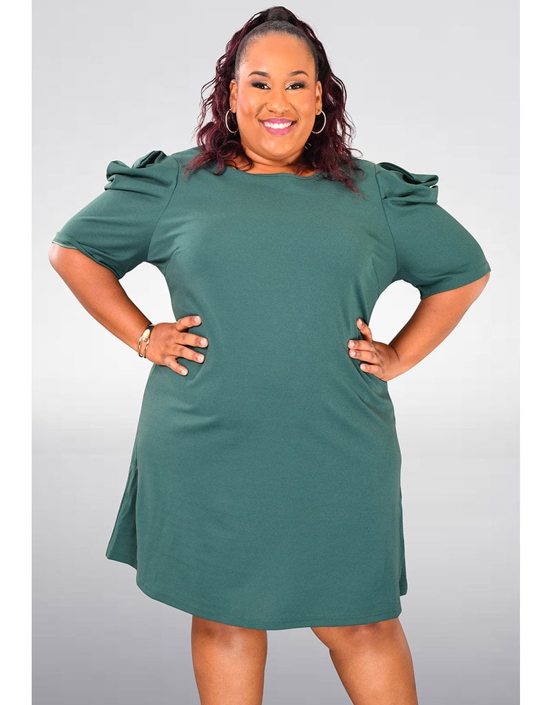 ARIA RUREL- Plus Size Solid Dress with Gathers Sleeves