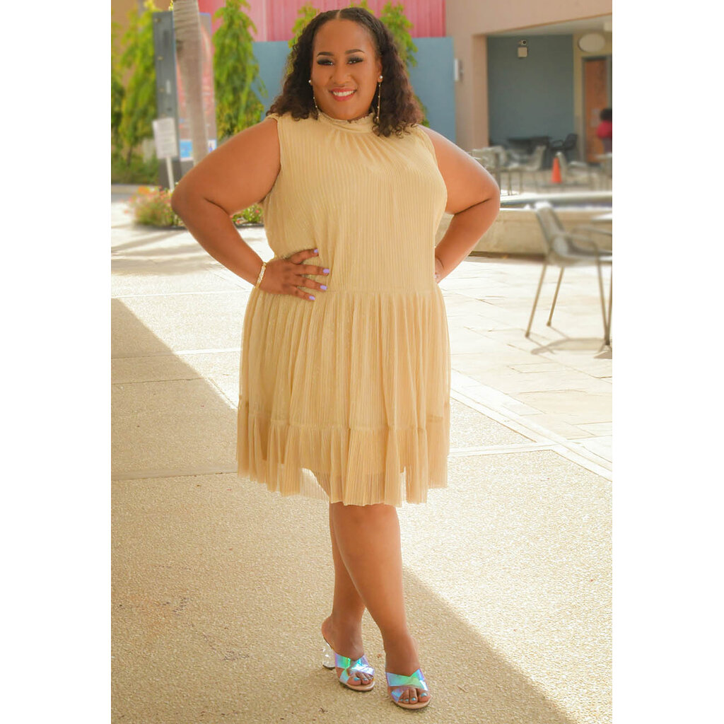 MAJANI- Plus Size Shimmery Hi Neck Dress