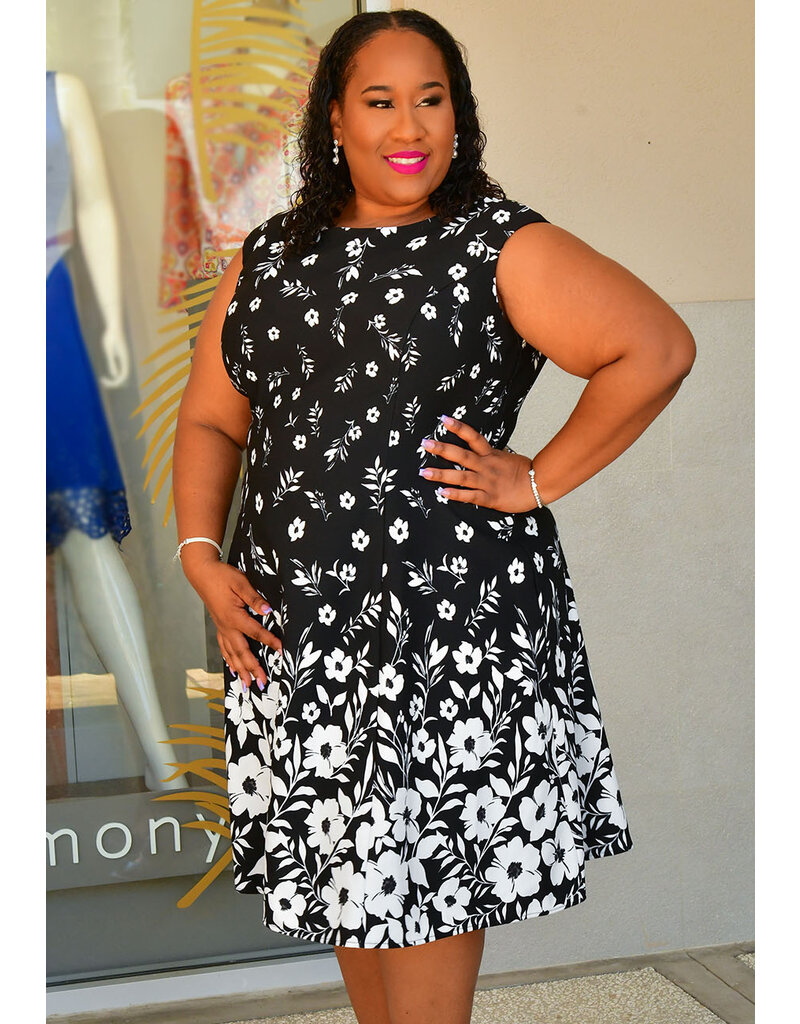 RENIP- Plus Size Printed Fit & Flare Dress - Harmonygirl.com