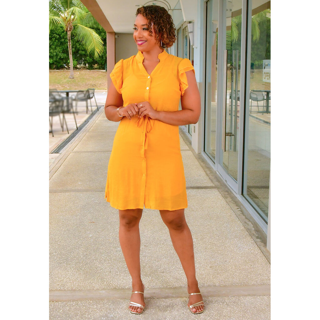 GITTY- Botton Down Dress with Double Frill Sleeves