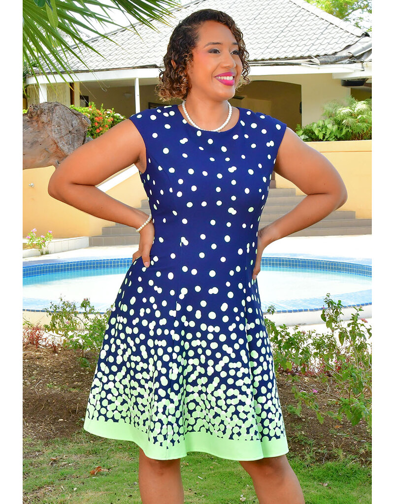 ROLFO- Small Polka Dot Fit & Flare Dress