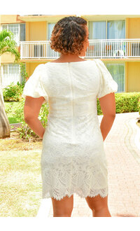 Jessica Howard LINX- Lace Design Dress with Round Neck