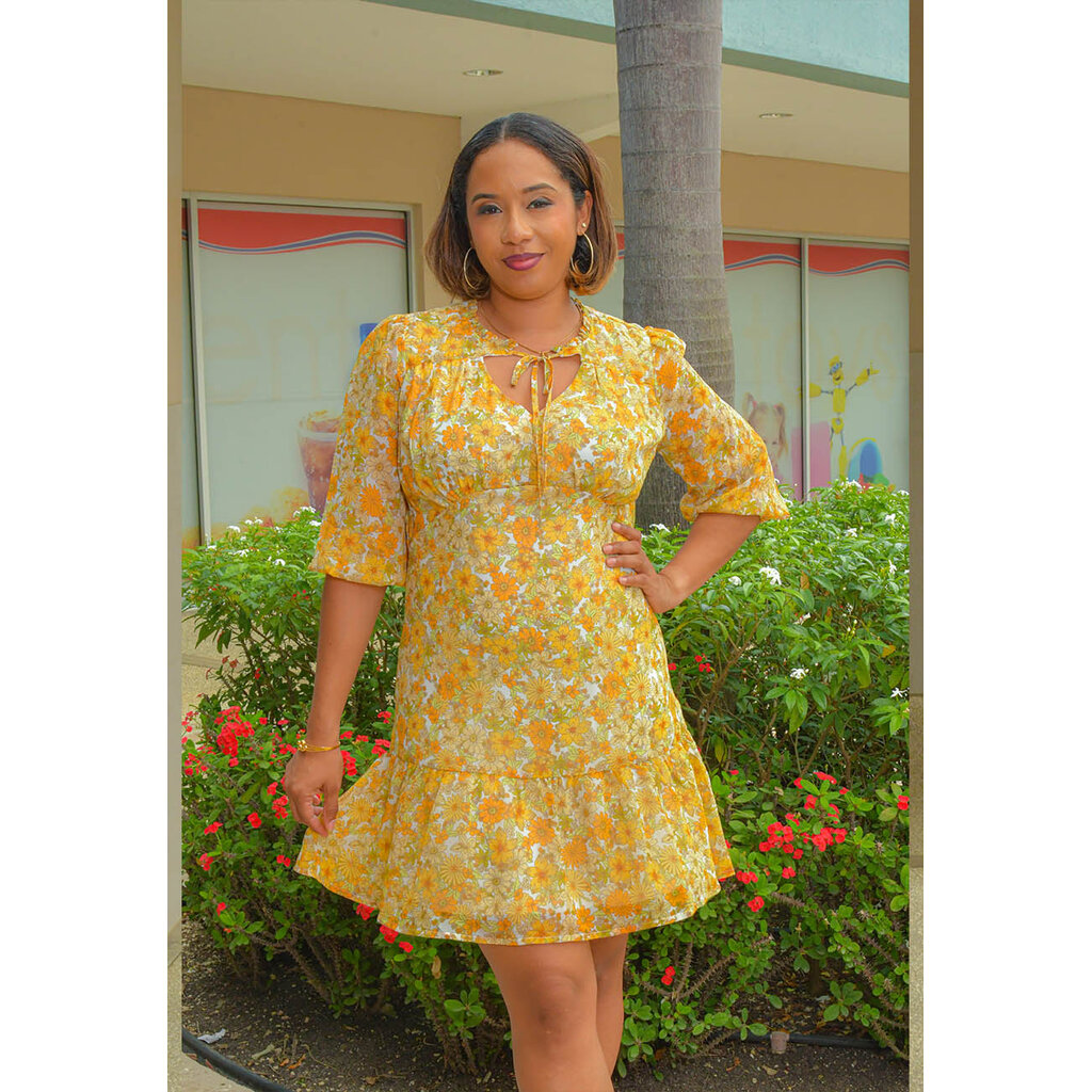 FRILA- Printed 3/4 Balloon Sleeve Dress