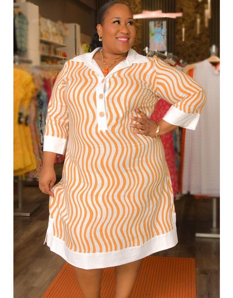 NOLA- Plus Size Printed 3/4 Sleeve Dress with Collar - Harmonygirl.com