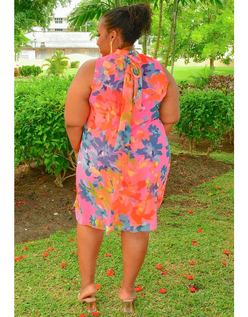 Signature FLAVIA- Plus Size Printed Overlay Dress