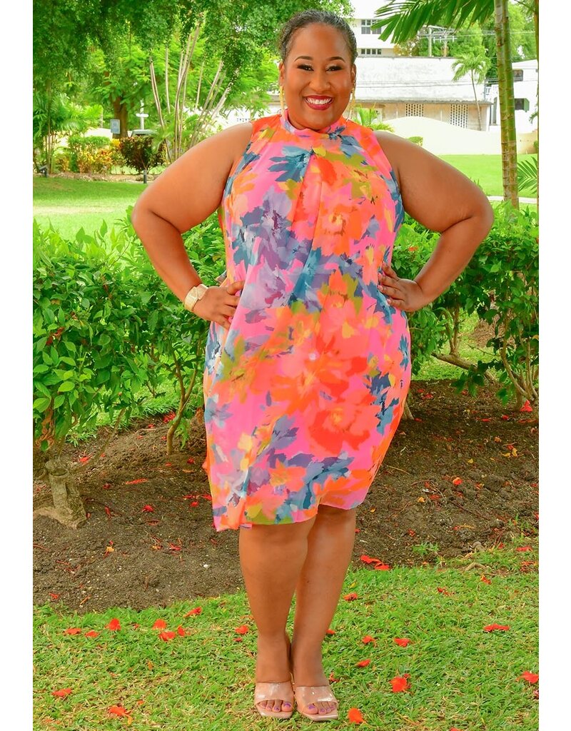 Signature FLAVIA- Plus Size Printed Overlay Dress