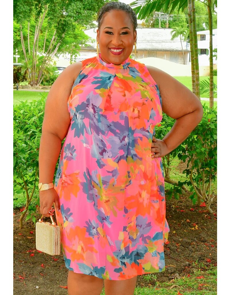 Signature FLAVIA- Plus Size Printed Overlay Dress