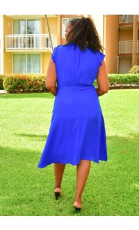 Nina Leonard FERRLIN- Solid Frill Arm Elastic Neck Dress