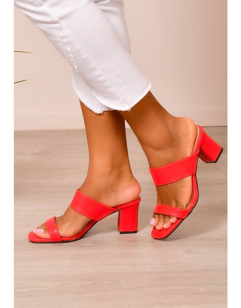 PENNE Chunky Heel Shoe with 2 Straps