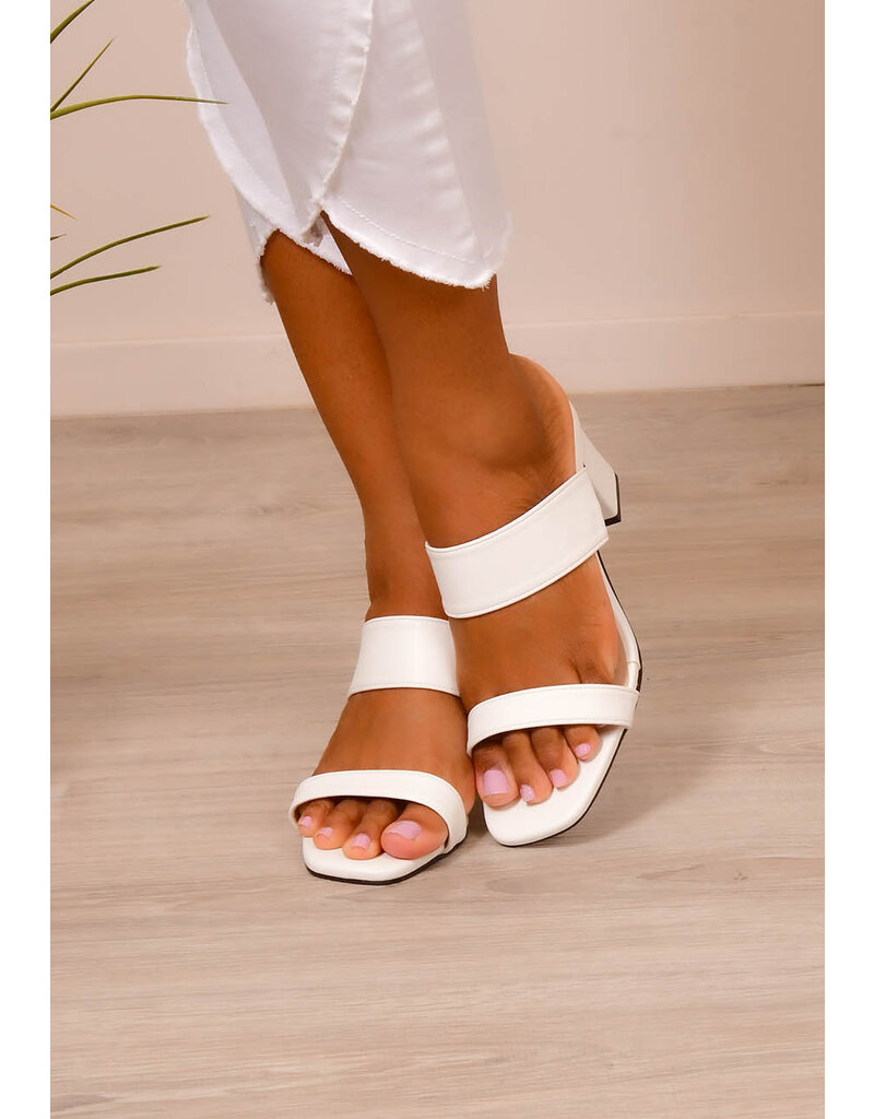 PENNE Chunky Heel Shoe with 2 Straps