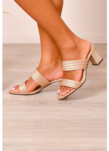 PENNE Glittery 2 Strap Chunky Heel Shoes