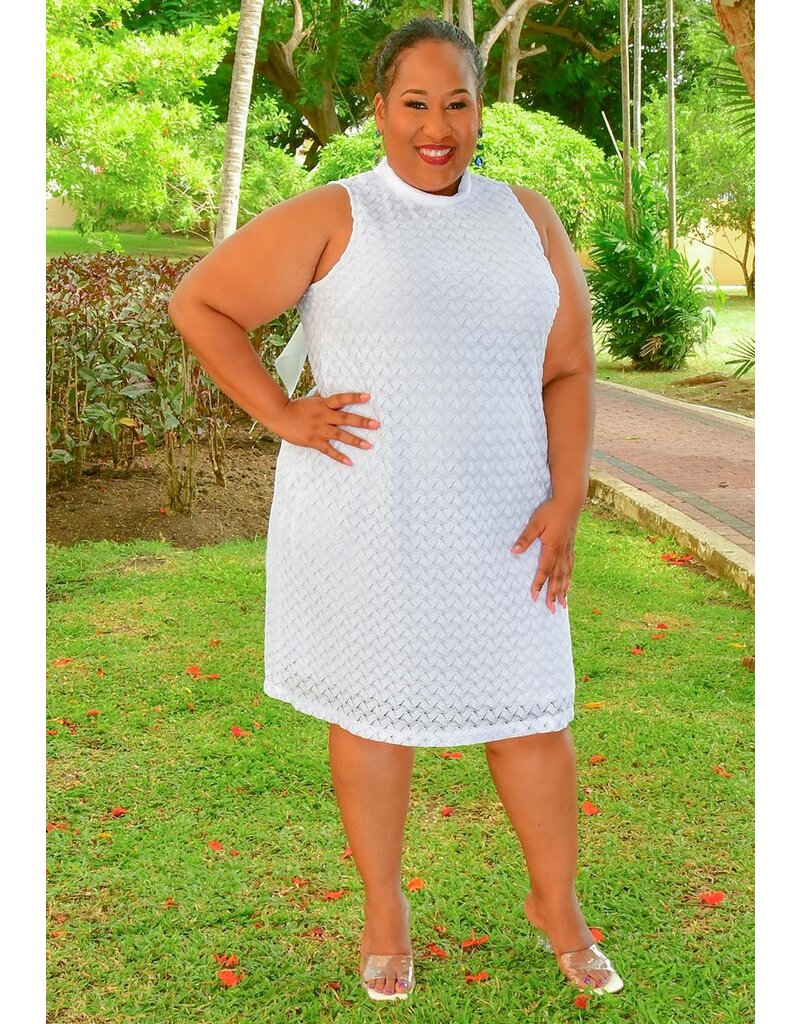 Signature LENNY- Plus Size Solid Armhole Dress