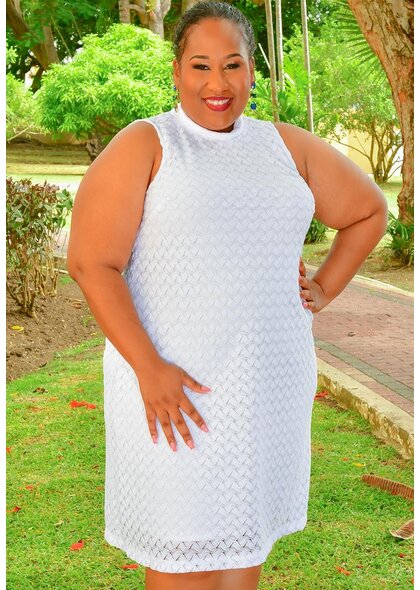 Signature LENNY- Plus Size Solid Armhole Dress