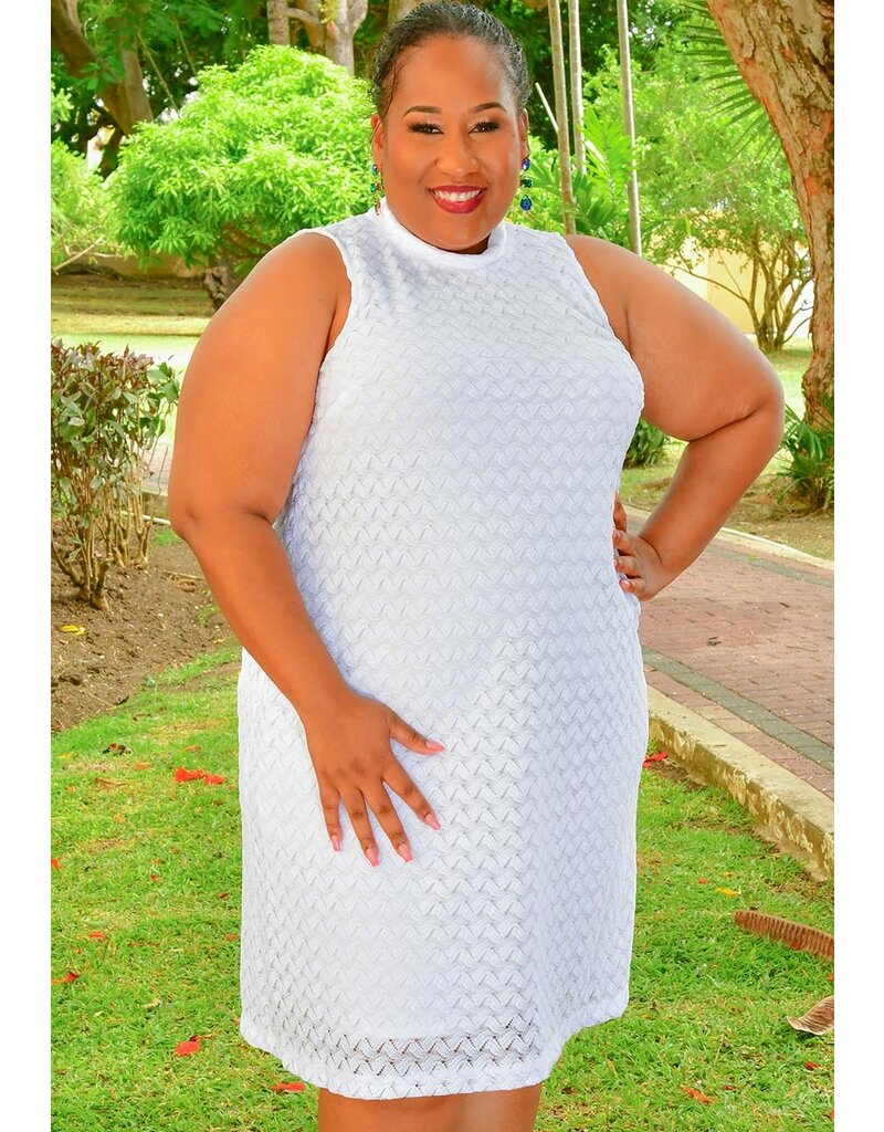 Signature LENNY- Plus Size Solid Armhole Dress