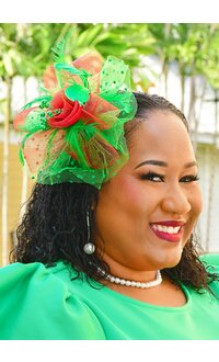 Small 2 Tone Dotted Mesh Fascinator