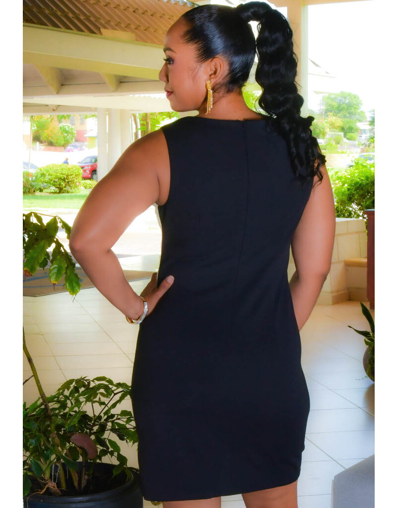 GLAMOUR RYDEN- Armhole 2 Tone Dress with Small Bow