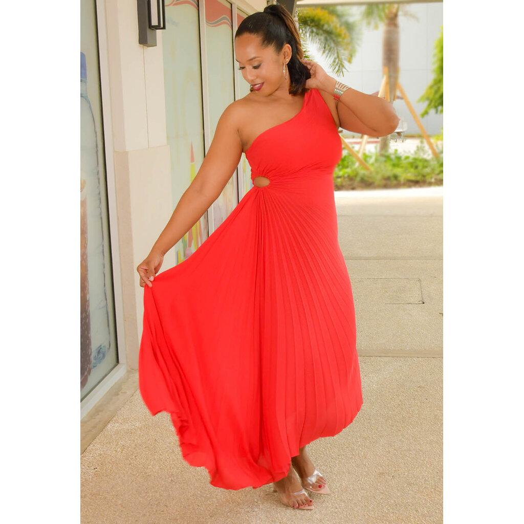 RITIM- Long Solid Steam Pleat Dress